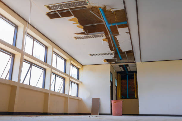 Best Ceiling water damage repair  in Edgerton, MN