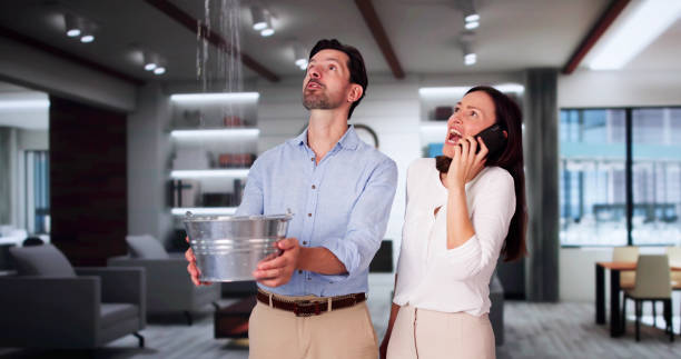 Best Professional water damage repair  in Edgerton, MN
